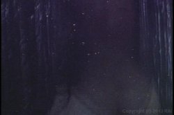 'Huge Black Cocks' screenshot nº 50
