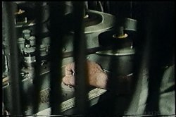 'Huge Black Cocks' screenshot nº 81