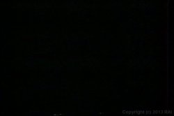 'Huge Black Cocks' screenshot nº 2