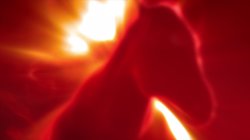 Captura de 'Booty Call' nº 1