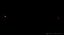 'Ukrainian Anal POWs' screenshot nº 2