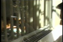 Captura de 'Girls of the Sorority Row' nº 37