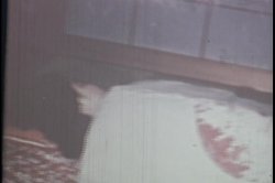 Captura de 'Geisha Sluts' nº 66