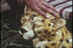 Captura de 'Geisha Sluts' nº 100