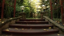 Captura de 'Sex Maniacs' nº 124