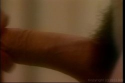 Captura de 'Red Riding She Male' nº 138