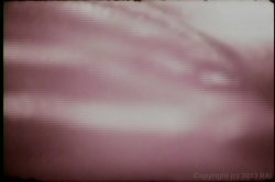 'Candy Is Dandy' screenshot nº 109