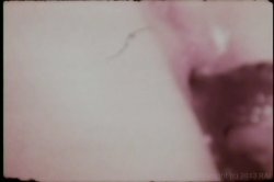 'Candy Is Dandy' screenshot nº 110