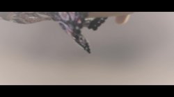 Captura de 'Exhibitionist 5: Nature Lovers, The' nº 3