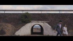 Captura de 'Exhibitionist 5: Nature Lovers, The' nº 21