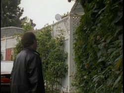 'Love Games' screenshot nº 47
