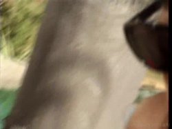 Captura de 'Pussyman's Large Luscious Pussy Lips' nº 95