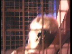 'Jumping Track' screenshot nº 42