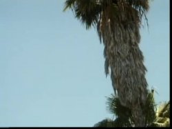 'Top XXX Models - Blonde Edition' screenshot nº 62