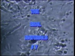 'Real Naturals 7' screenshot nº 1