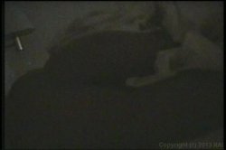 Captura de 'Seymore Butts in Paradise' nº 26