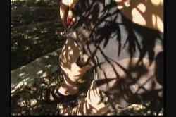 'Trannie World XXX Tour 4' screenshot nº 108