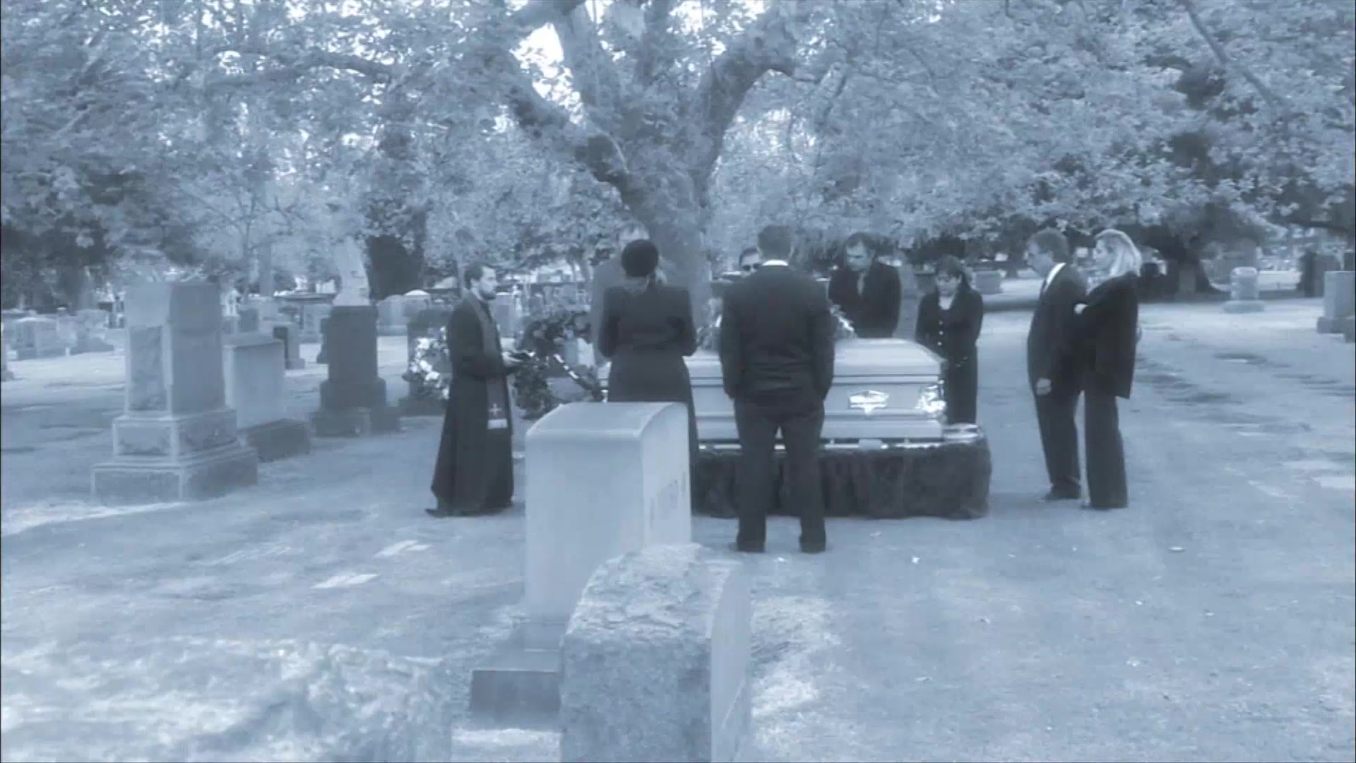 Fallen