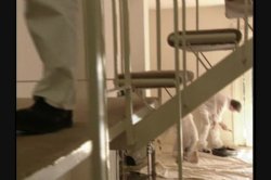 Captura de 'Gangbang Girl 22' nº 4