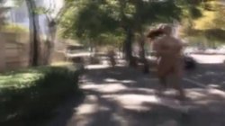 Captura de 'Shane's World 40' nº 31