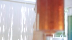 'She's Legal 4' screenshot nº 133
