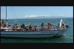 Captura de 'Viva Latina' nº 92
