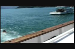 Captura de 'Viva Latina' nº 115