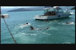 Captura de 'Viva Latina' nº 117