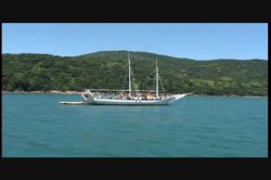 Captura de 'Viva Latina' nº 129