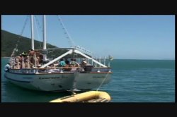 Captura de 'Viva Latina' nº 13