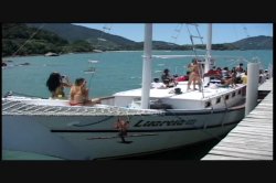 Captura de 'Viva Latina' nº 2