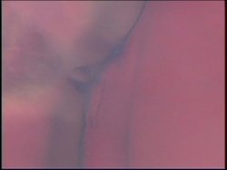Captura de 'Tell Me What You Want 3' nº 80