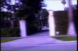 'Take My Wife, Please!' screenshot nº 7