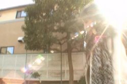 'Japanese Cougar Club 10' screenshot nº 115