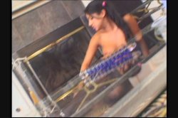 Captura de 'Best of Sativa Rose' nº 114