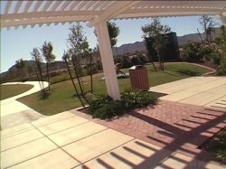 Captura de 'California College Student Bodies #55' nº 85