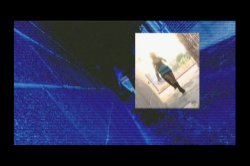 'Wild With Anticipation' screenshot nº 5