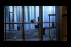 'Wild With Anticipation' screenshot nº 7