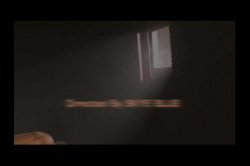 'Wild With Anticipation' screenshot nº 8
