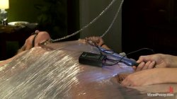 'Wired Pussy - Featuring Bobbi Starr and Roxanne Hall' screenshot nº 69
