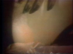 Captura de 'Horny Chicks Of The 70's' nº 56