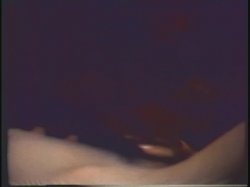Captura de 'Horny Chicks Of The 70's' nº 71