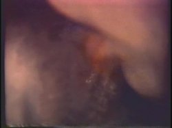 Captura de 'Horny Chicks Of The 70's' nº 83