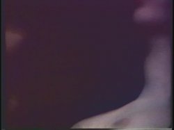 Captura de 'Horny Chicks Of The 70's' nº 92