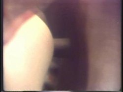 Captura de 'Horny Chicks Of The 70's' nº 102