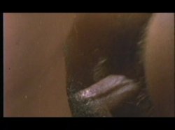 Captura de 'Horny Chicks Of The 70's' nº 30