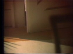 Captura de 'Horny Chicks Of The 70's' nº 35