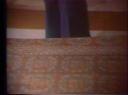 Captura de 'Horny Chicks Of The 70's' nº 36