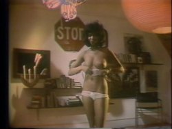 Captura de 'Horny Chicks Of The 70's' nº 41