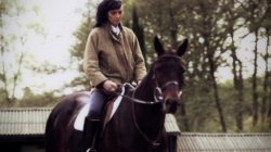 'Mademoiselle's Stallions' screenshot nº 17